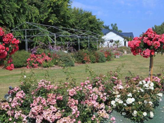 Pauschale  Wohnmobil 1 nacht (2 Erwashsene + 1 stellplatz+ strom 10A)