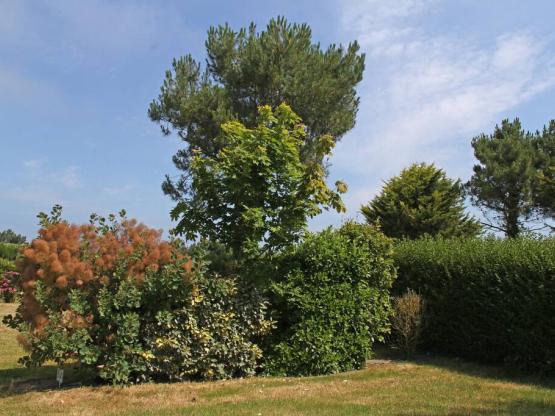 Stellplatz Komfort  und mehr mit 2 Personen (auto+Wohnwagen oder zelt + strom 10A ) :