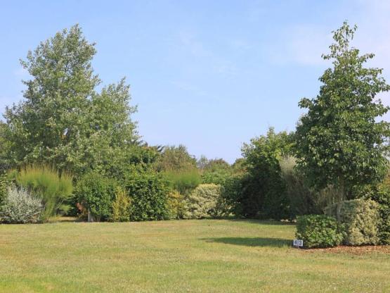 Stellplatz natur XL mit 2 Personen (auto + wohnwagen oder zelt)