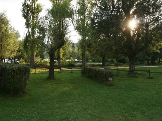 Stellplatz: Auto + Zelt oder Wohnwagen + Wohnmobil