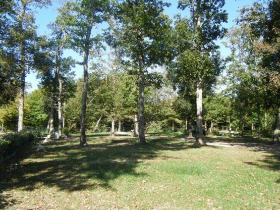 Stellplatz Privilège (Zelt, Wohnwagen, Wohnmobil / 1 Auto / Strom 10A) +- 150m²