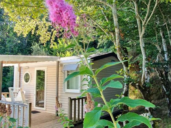 Mobilheim Confort 18m² (1 Zimmer) + TV + Halbüberdachte Terrasse