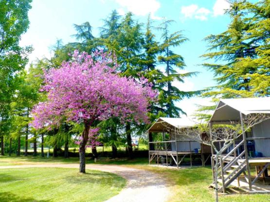 Acadian Lodge / 2 Zimmer / Klimaanlage - überdachte Terrasse