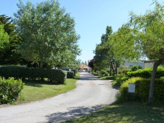 Stellplatz Confort (Zelt, Wohnwagen, Wohnmobil / 1 Fahrzeug  / Strom 10A)