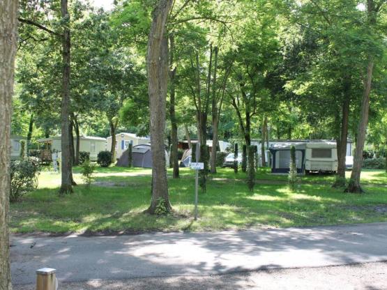 Stellplatz Auto + Zelt, Wohnwagen oder Wohnmobil + Strom 10 A + 2 Erwachsene inkl