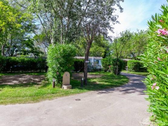 Stellplatz Zelt/Wohnwagen oder Wohnmobil + Strom 10A