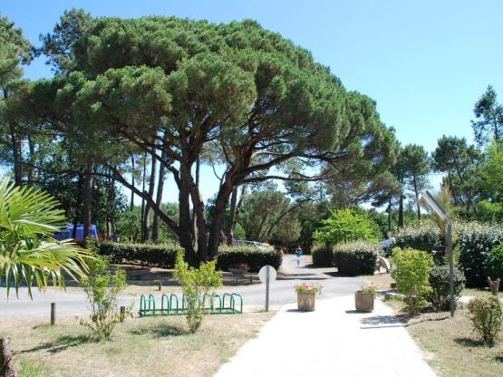 CONFORT Pauschale: Stellplatz + Fahrzeug + Strom + wasser