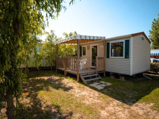 Mobil-home Eden Compact 1 Zimmer 19m²