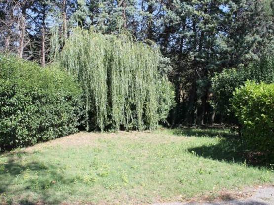 Stellplatz Nature SOLO (Zelt, Wohnwagen, Wohnmobil / 1 Auto)