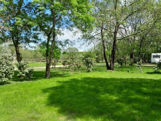 Stellplatz : Auto + Zelt/Wohnwagen oder Wohnmobil