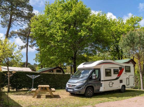 Stellplatz Nature Premium