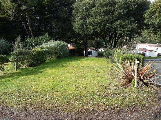 Stellplatz STANDARD (2 Personen im Preis enthalten)