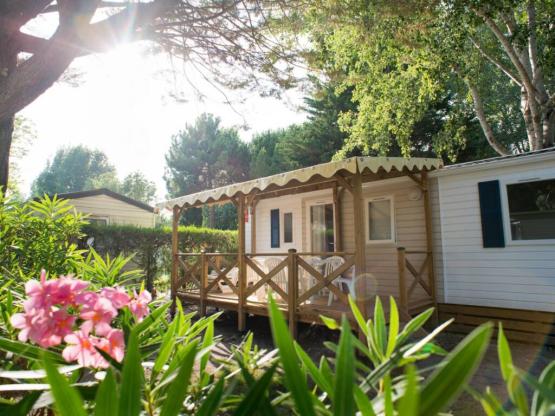 Cottage Familien Plus Premium