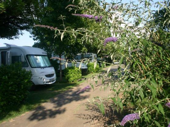 Stellplatz CONFORT (Zelt, Wohnwagen, Wohnmobil / 1 Auto / Strom 12A) + Fließwasser- und Abwasseranschluss