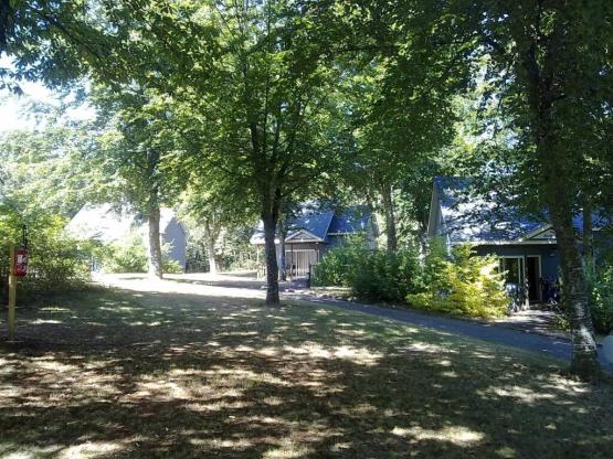 Chalet (2 Zimmer) ausgestattet für Behindertes