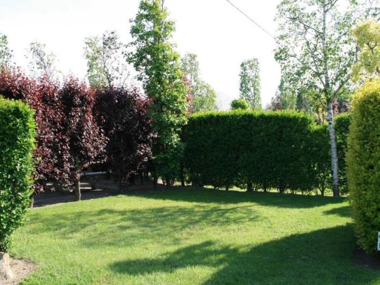 Kleiner Stellplatz für kleine Stelle