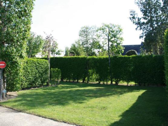 Mittelgrösser Stellplatz für Stelle oder Wohnwagen