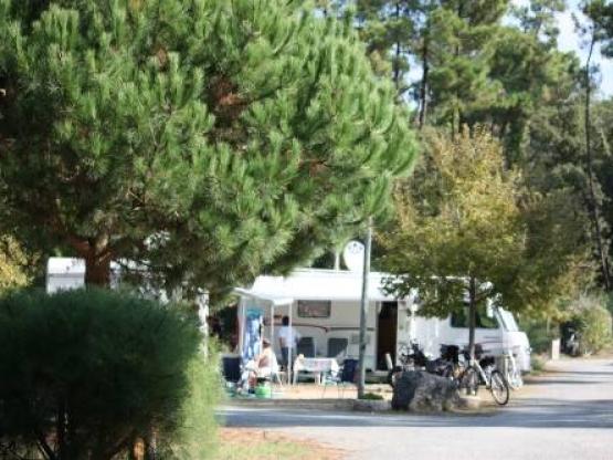 Stellplatz Confort (Zelt, Wohnwagen, Wohnmobil / 1 Auto / Strom 10A)