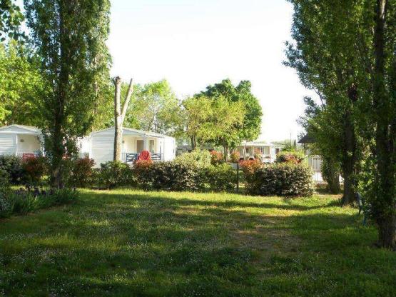 Forfait : Parcela + coche + tienda o caravana