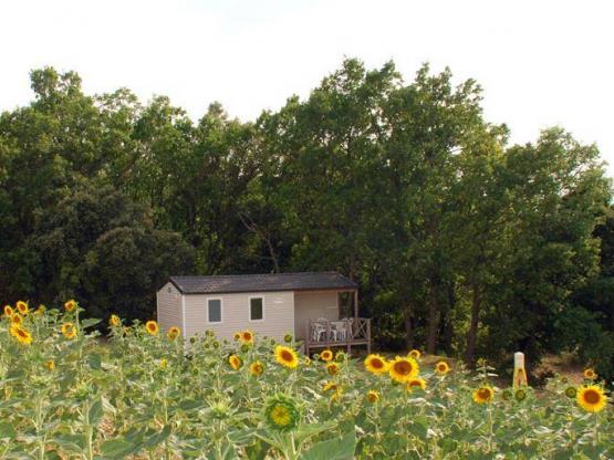 Mobilheim (2 Zimmer)