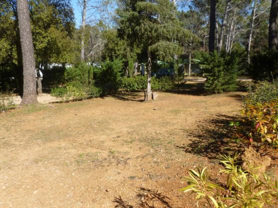 Stellplatz Confort (Zelt, Wohnwagen, Wohnmobil / 1 Auto / Strom 10A)