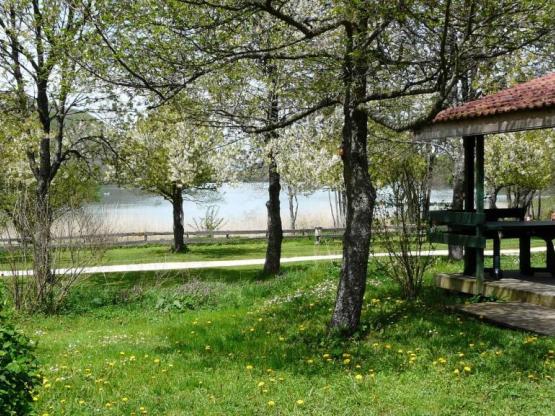 Chalet Confort 27 - 30m² - 2 Schlafzimmer + überdachte Terrasse + TV + Spüllmachine