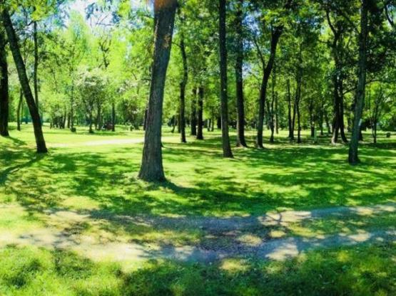 Stellplatz Pauschale Wanderer oder Radfahrer mit Zelt