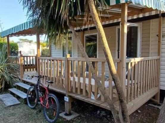 Mimosa 2 Zimmer 33m² + TV