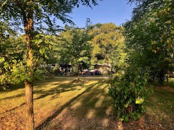 05 Stellplatz XL PREMIUM (150m²)  Voertuig + elektriciteit 10A + Water + Evacuatie +150m²