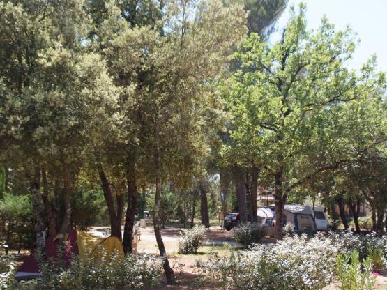 Stellplatz Privilège (Zelt, Wohnwagen, Wohnmobil / 1 Auto / Strom 10A)