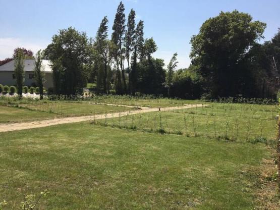 Package: Pitch 100m²  + car + tent or caravan + electricity