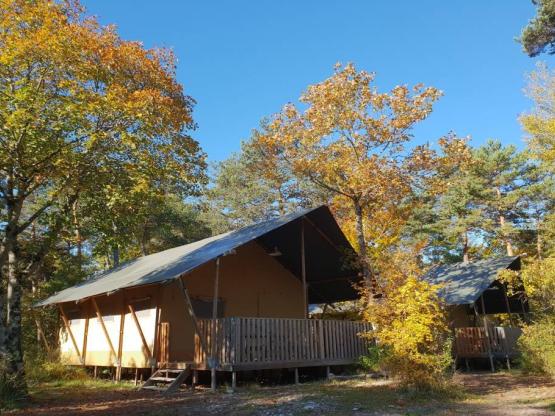 Lodge WOODY nr 6, 7, 11, 63, 64, 65 -