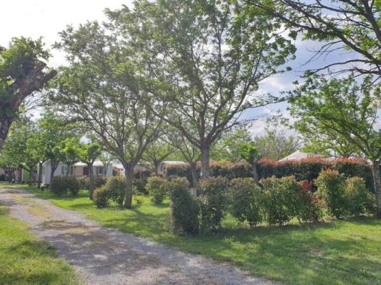 Pitch 80-120 m² (car + tent/caravan or motor home)