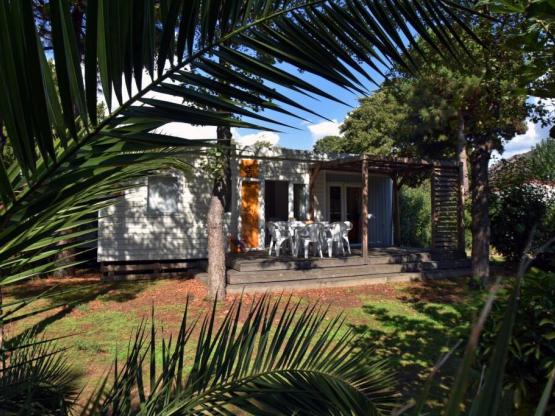 Bungalow Premium 3 Schlafzimmer