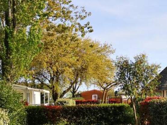 Parcela confort : coche + tienda/caravana o autocaravana + electricidad