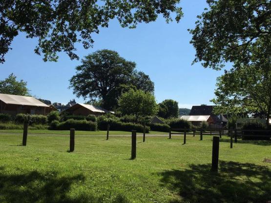 Parcela + coche + tienda o caravana