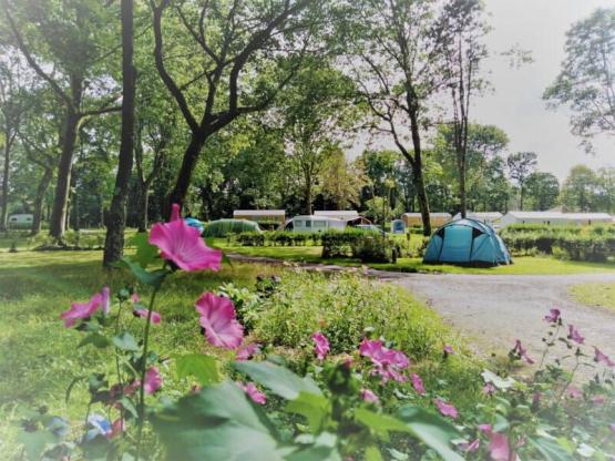 Nature Stellplatz Zelt, Wohnwagen, Wohnmobil >100m² max 4 Pers