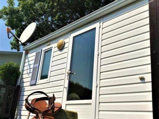 Mobilheim eucalyptus