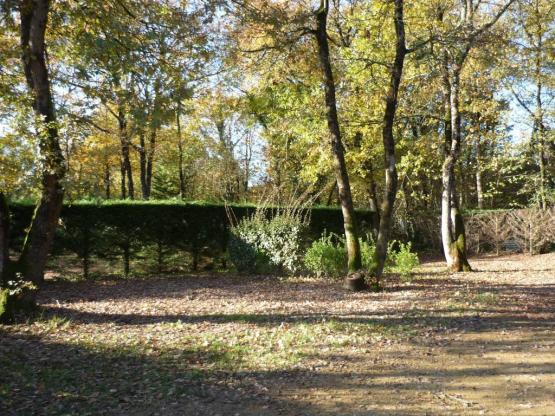 Stellplatz + Fahrzeug