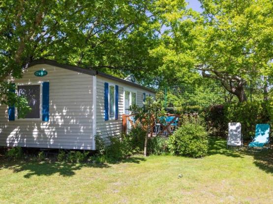 CASTANEA -  27m² - 2 Zimmer - N°31