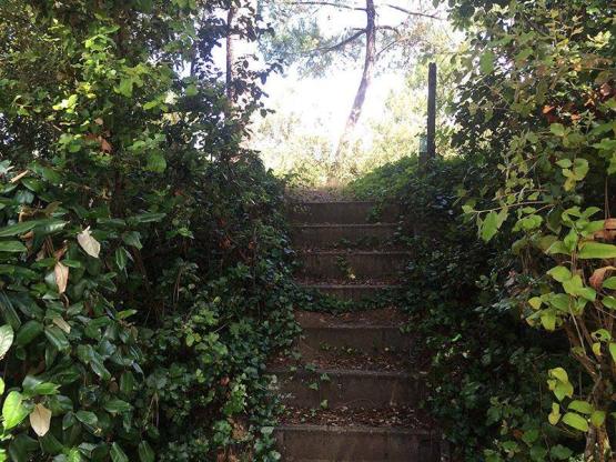 Zeltstellplatz (Parc La Mer / Les Pins)