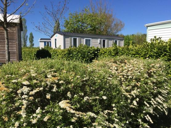 Mobilheim - 2 Zimmer