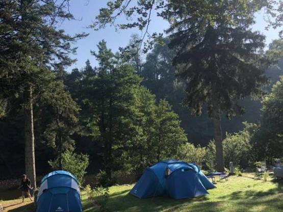 Stellplatz Confort (Zelt, Wohnwagen, Wohnmobil  / Strom 10A)