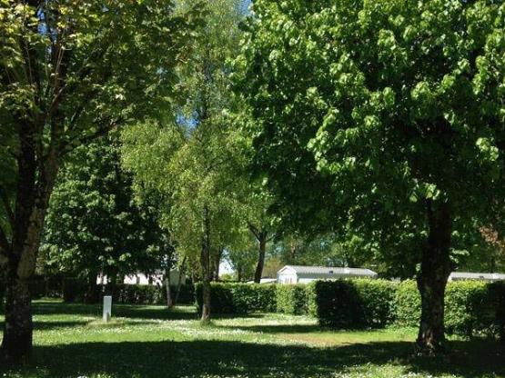 Stellplatz Confort (+ Strom 10A)