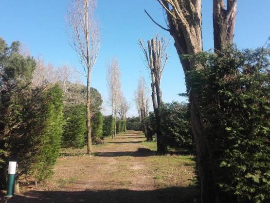 EMPLACEMENT NU (2 pers.) sans EDF/véhicule compris