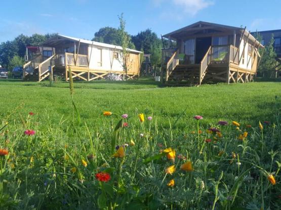 Cabane Lodge Premium 43m² (2 Zimmer - 1 Badzimmer) mit Halbüberdachte Terrasse 11m²