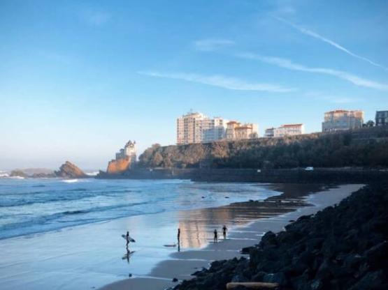 Stellplatz PREMIUM (keine Zelte erlaubt)