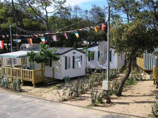Stellplatz + 1 Auto + Zelt , Wohnwagen oder Wohnmobil