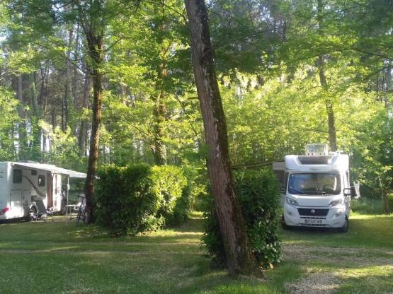 Schattiger, halbschattiger oder sonniger Standort zur Auswahl