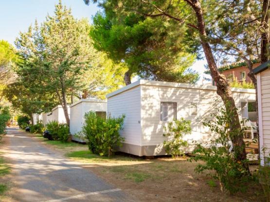 SUNÊLIA PRESTIGE FIGUIER